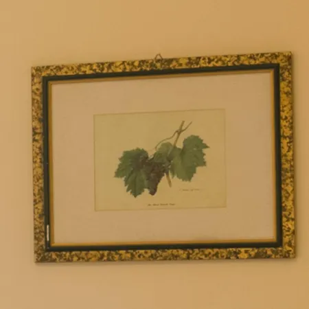 Naxos Sicilia 4* Giardini Naxos